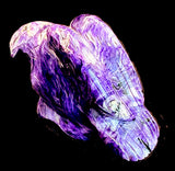 Vern Nieto (D) Charolite Eagle Fetish