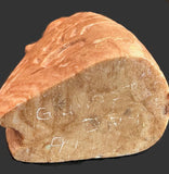 Native American Ghost Dog