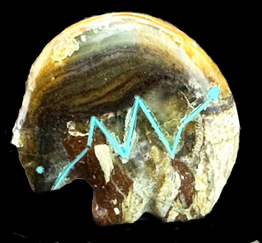 Stewart Quandelacy Heartline Medicine  Bear Fetish