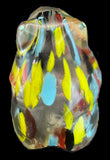 Zuni Art Glass Frog Fetish