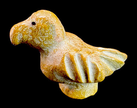 Leekya Parrot Fetish