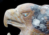 Derrick Kaamasee Eagle Diorama Sculpture