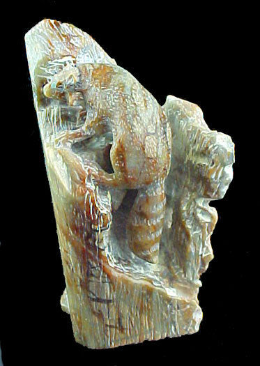 Jeff Shetima Raccoon Fetish Zuni Indian Stone Animal Carving