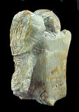 Jeff Shetima Raccoon Fetish Zuni Pueblo New Mexico Hand Carved Stone Animal Artifact