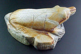 Herbert Him Pueblo Badger Fetish Southwestern Zuni Indian Stone Animal Carving